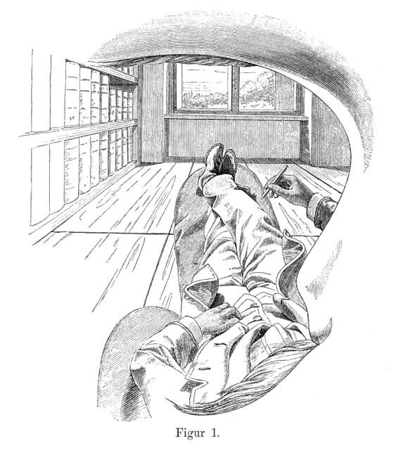 A pencil sketch of "view from the left eye", showing the first-person experience of the view: the nose stretches from floor to ceiling, the eyebrow moustache appear huge.